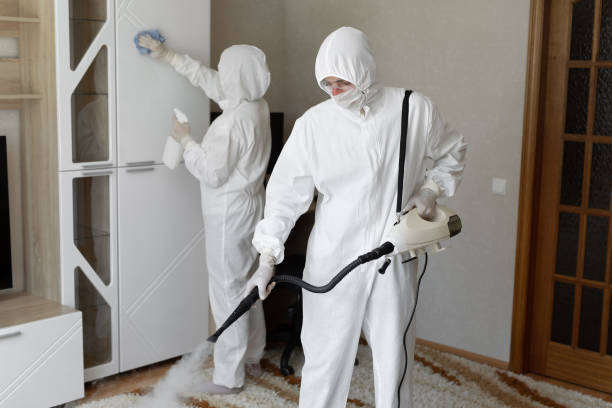 Best Certified Mold Removal  in Fort Hood, TX