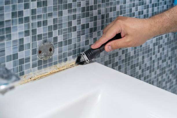 Best Professional Mold Removal  in Fort Hood, TX
