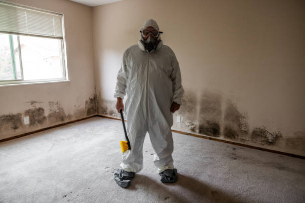 Best Local Mold Removal Service  in Fort Hood, TX